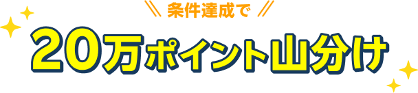 20万ポイント山分け